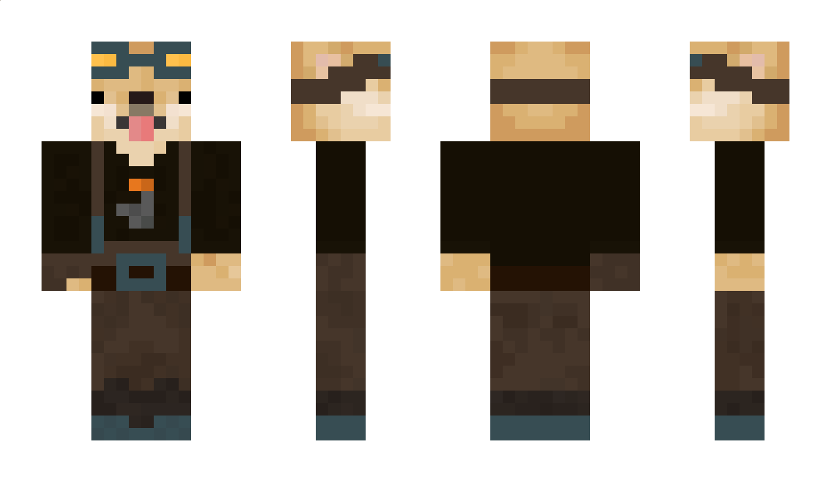 DukeOfDogeland Minecraft Skin