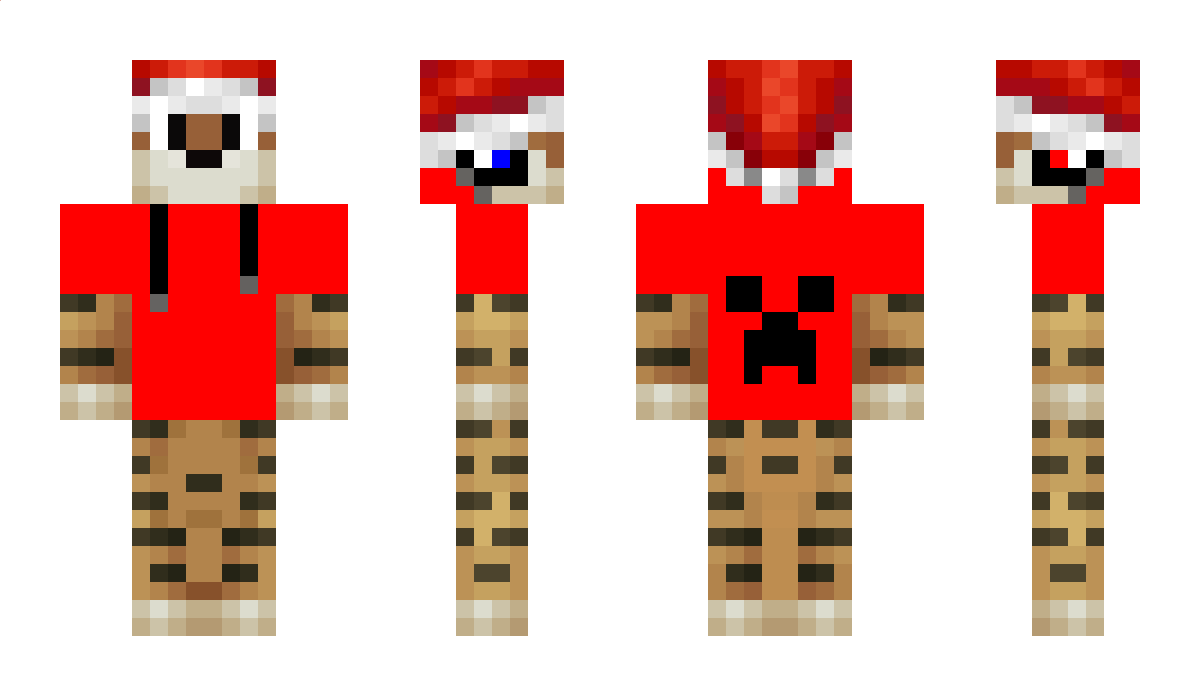 Dedication Minecraft Skin