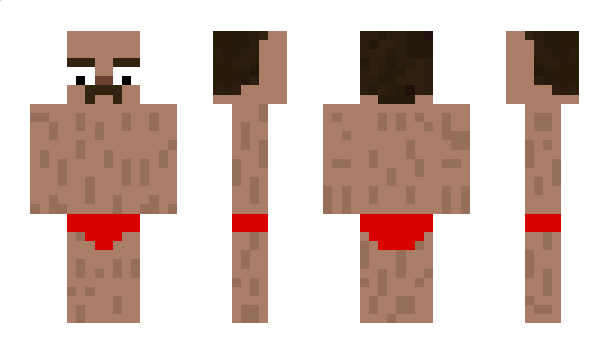 Related Minecraft Skin