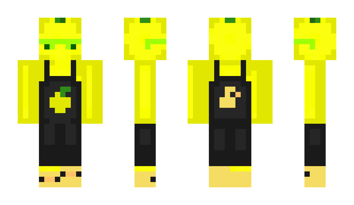 leymin Minecraft Skin