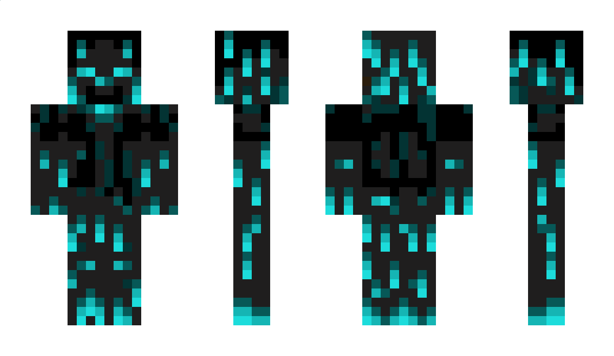 Day_312 Minecraft Skin