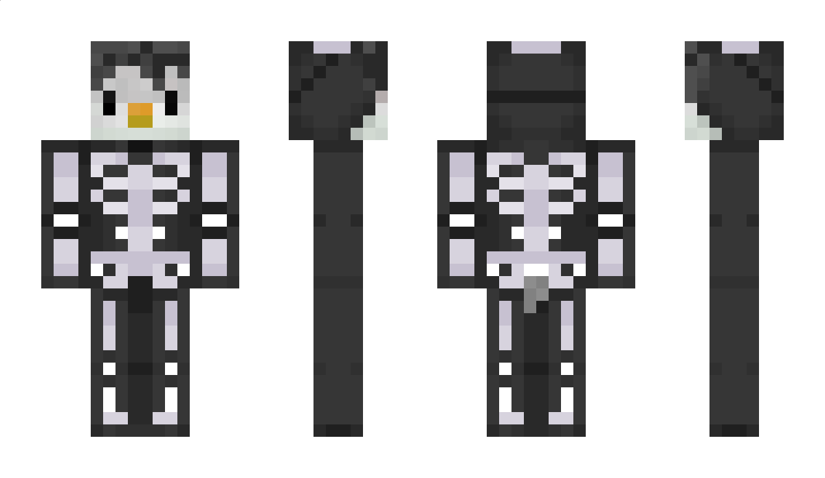 shady_penguin Minecraft Skin