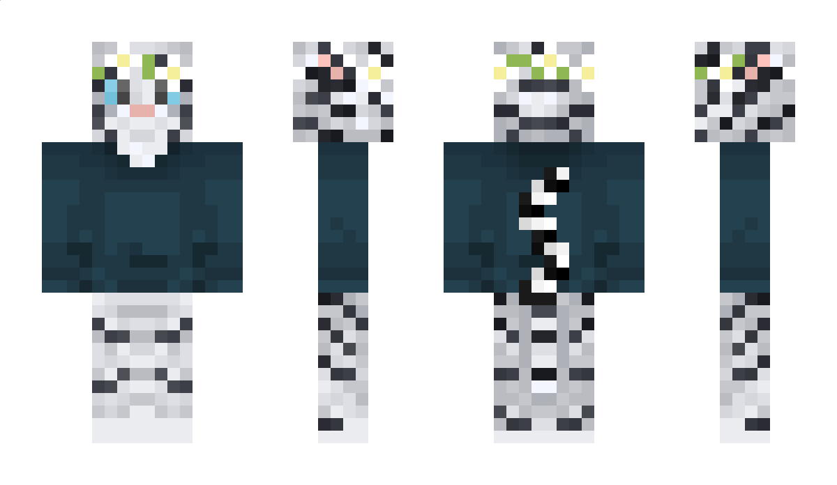 Thomas_Pt145 Minecraft Skin