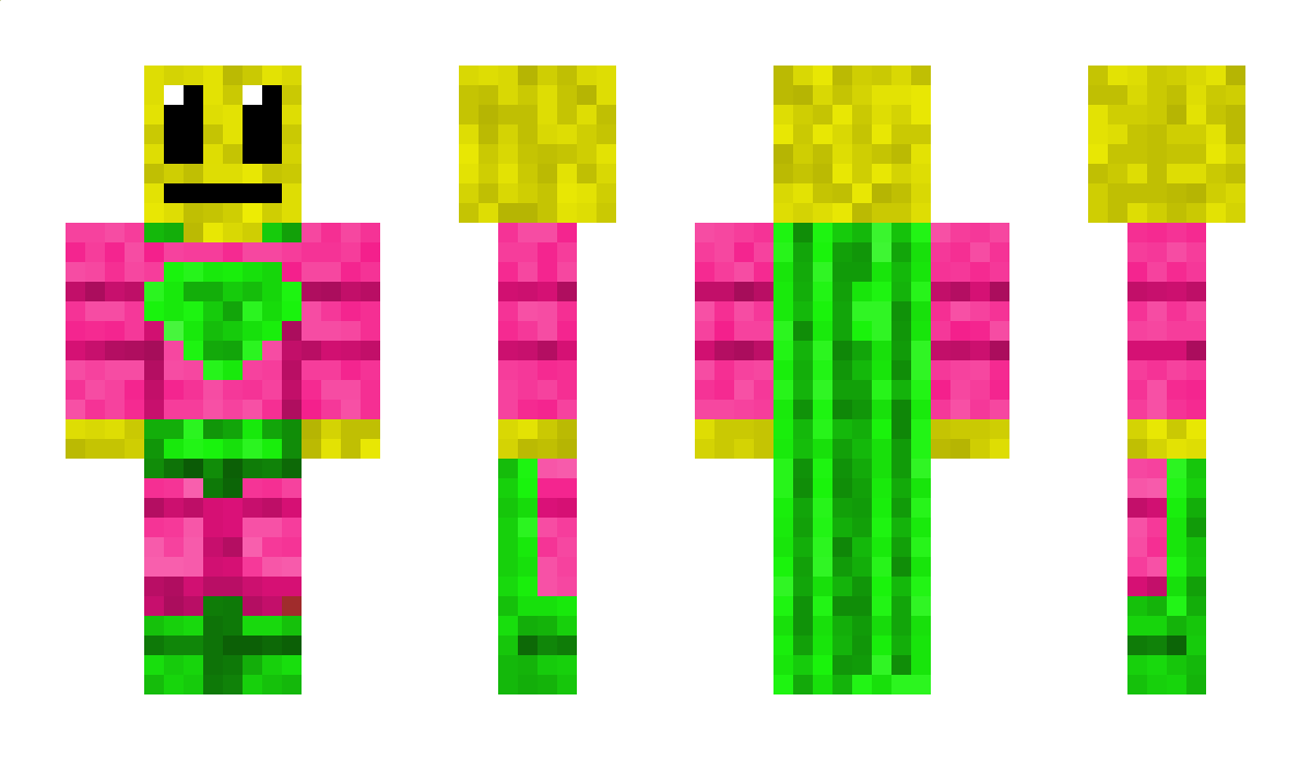 Tappetjesman Minecraft Skin