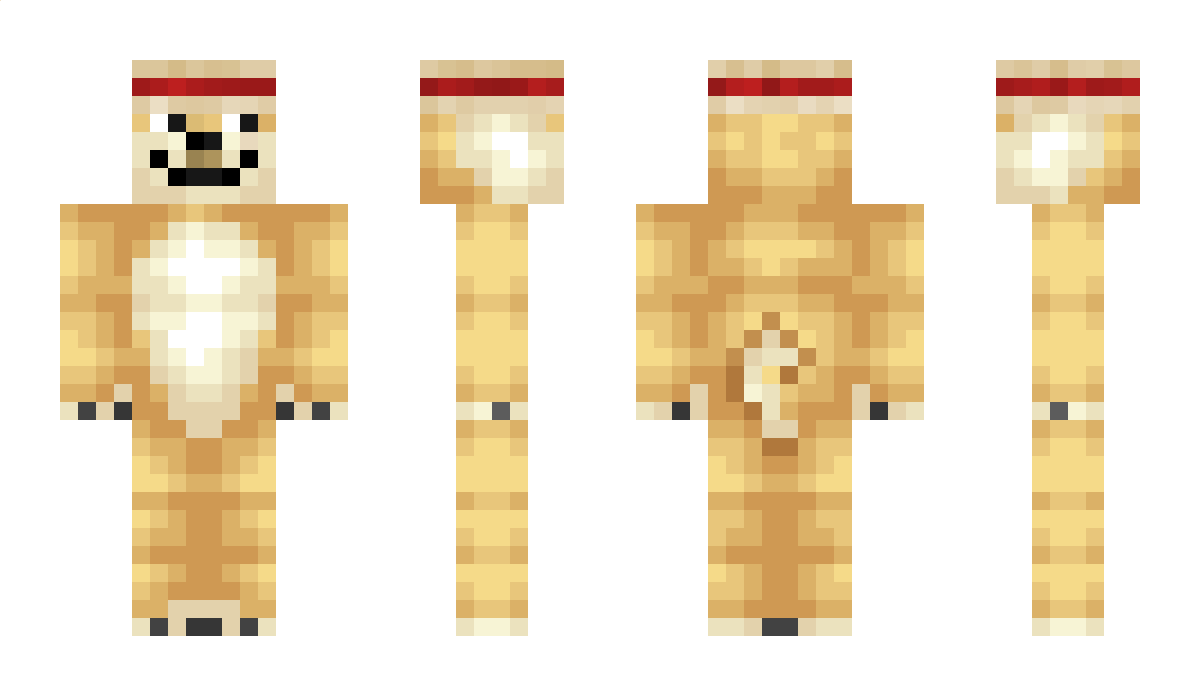 Piorunix Minecraft Skin