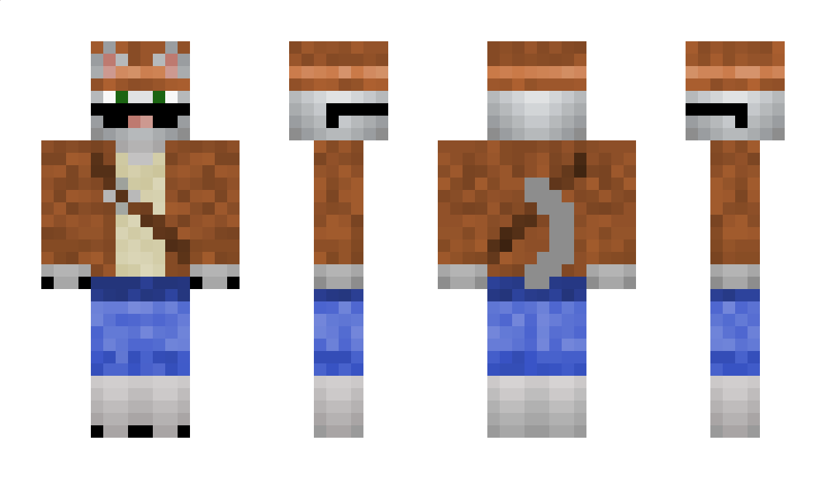 DoctorCat123 Minecraft Skin