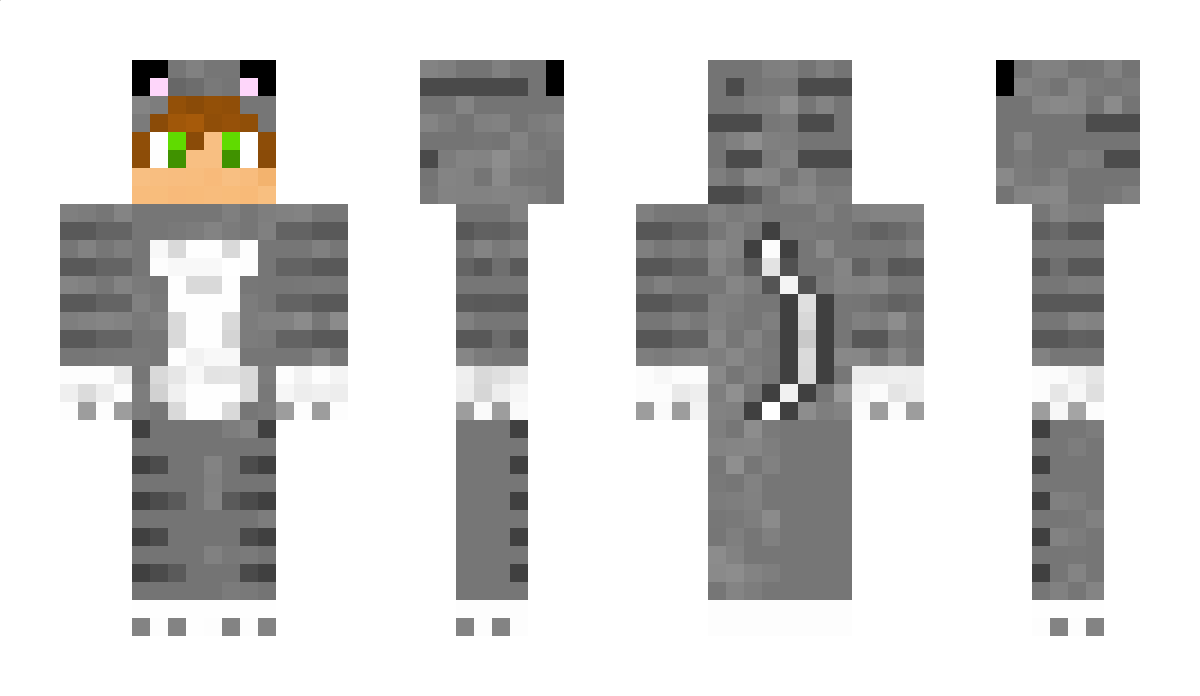 CatAstropheYT Minecraft Skin