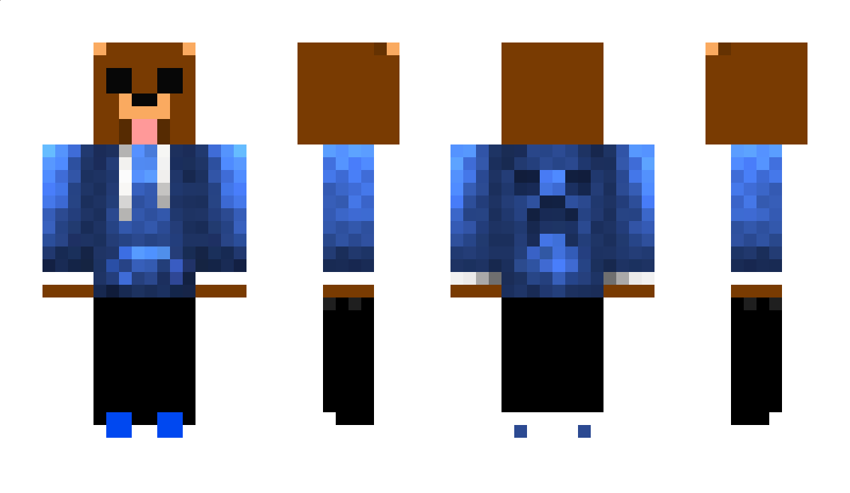 WardPlay Minecraft Skin