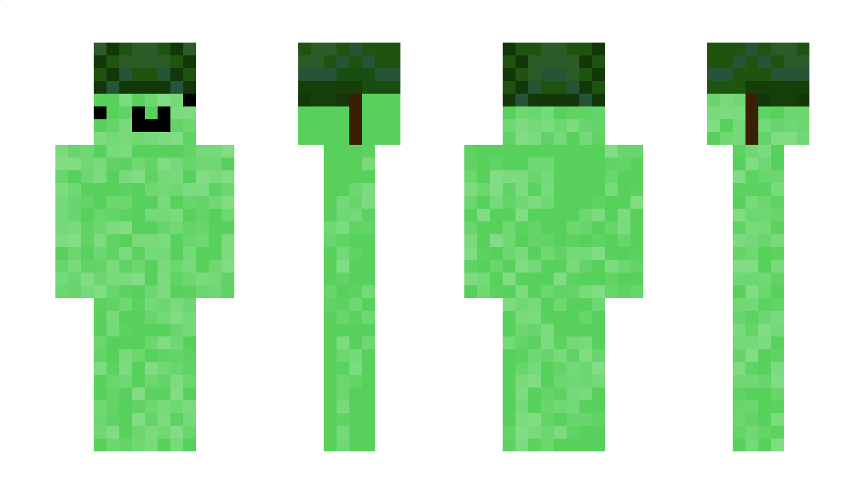 mr_smu Minecraft Skin