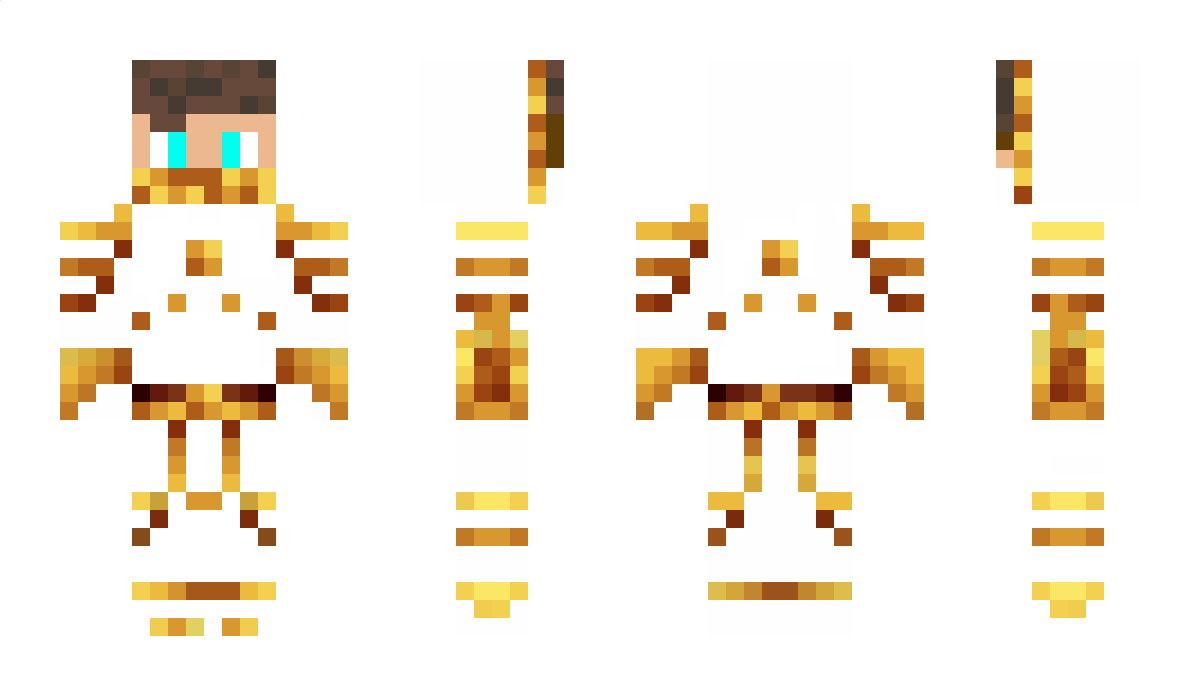 Fizi13 Minecraft Skin