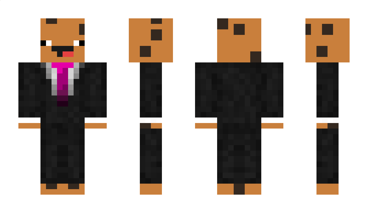 Brirocks123 Minecraft Skin