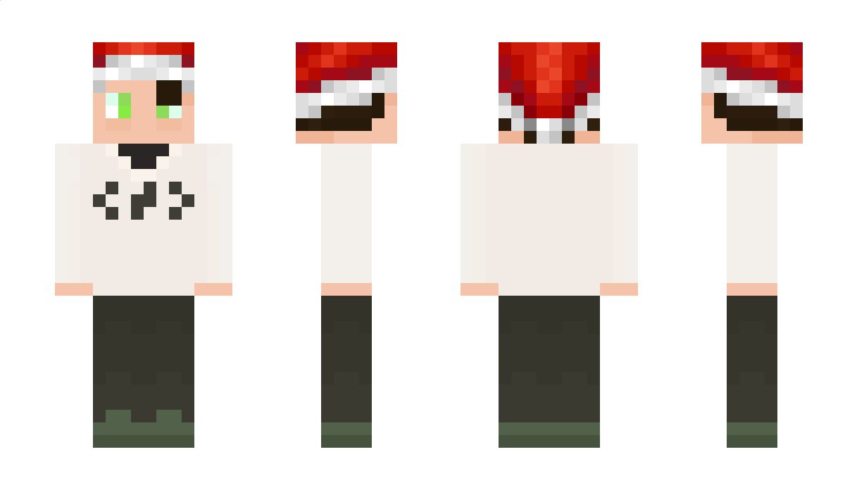 Timtaran Minecraft Skin