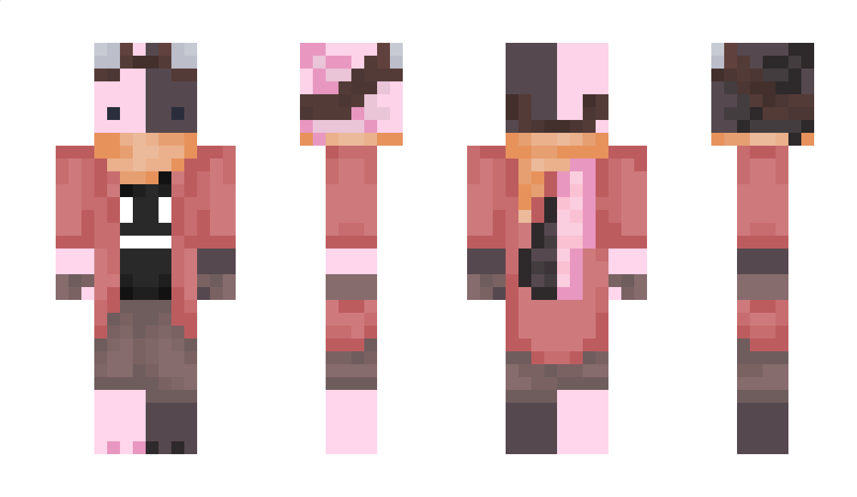 SoftRobin Minecraft Skin