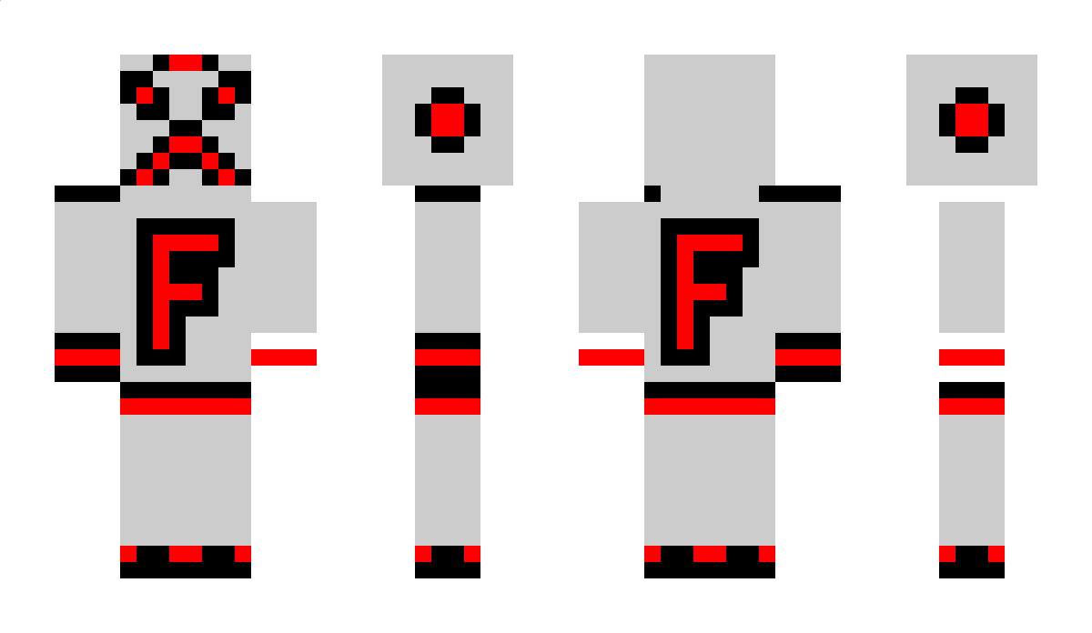 FlyWire Minecraft Skin