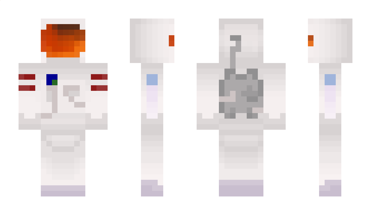 Dctr Minecraft Skin