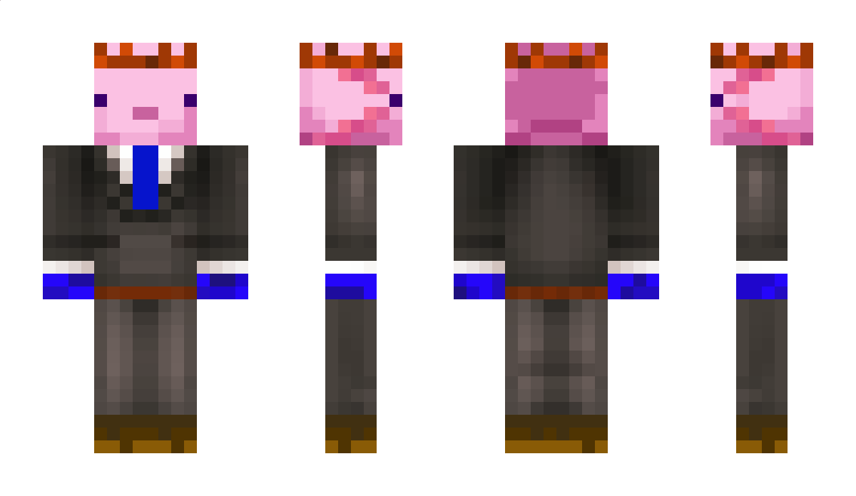 springerin Minecraft Skin