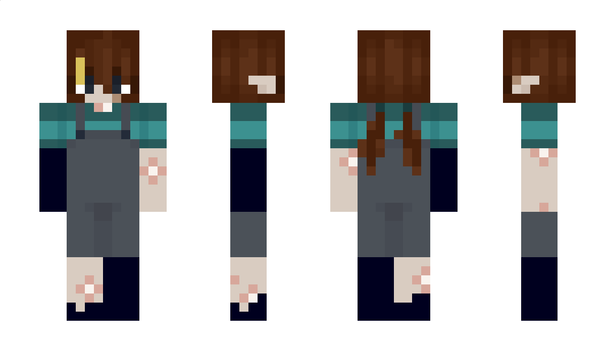 TOOwren Minecraft Skin