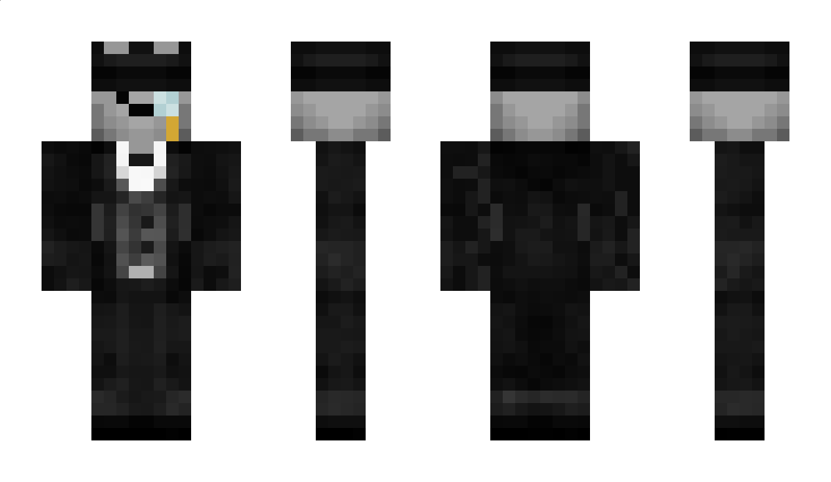 Raccoooooon Minecraft Skin