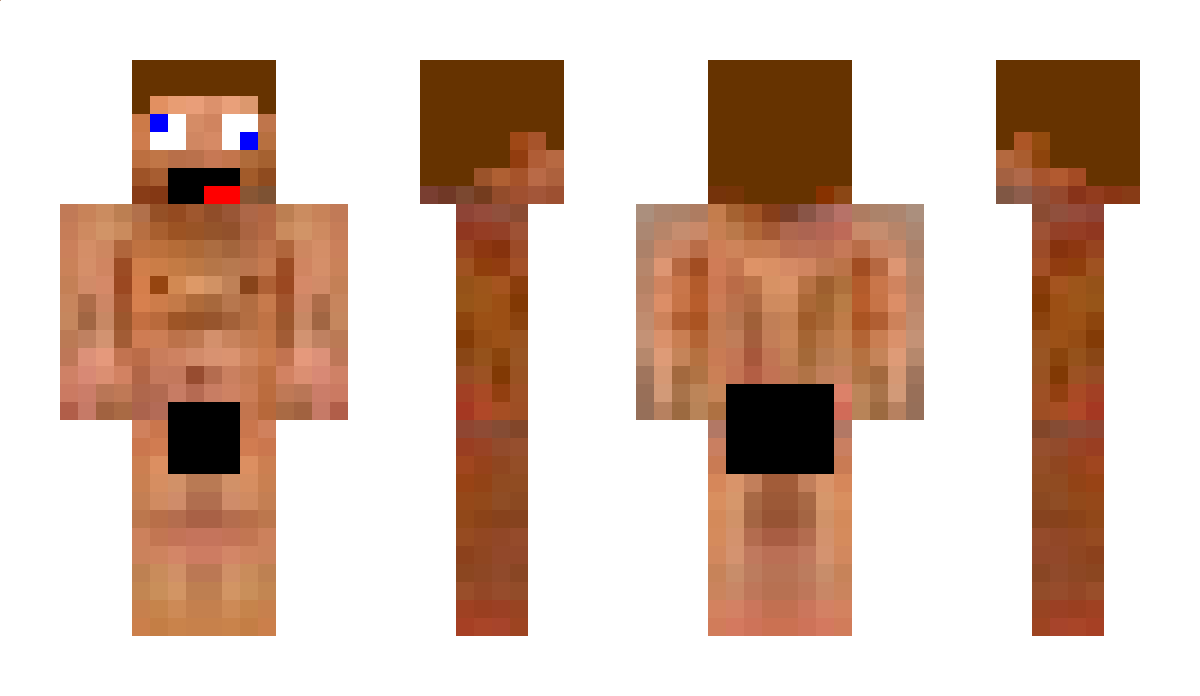 Pokee Minecraft Skin