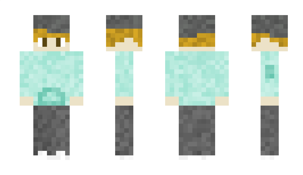 AERO1132 Minecraft Skin