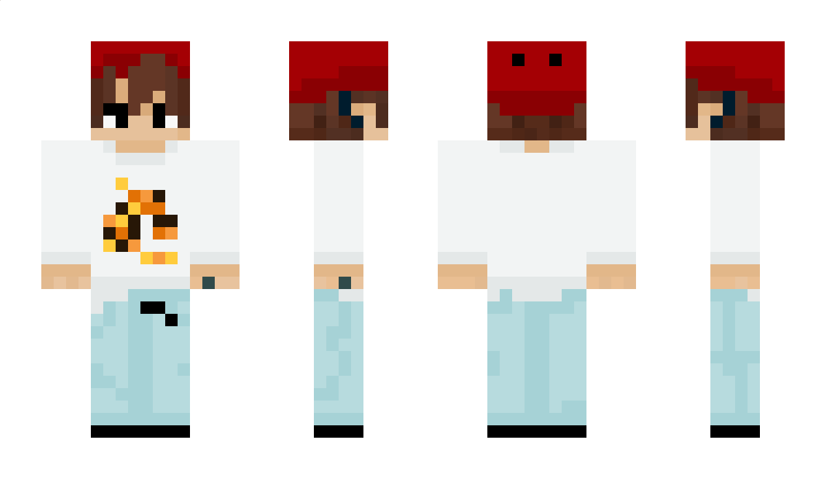 DizzyFly Minecraft Skin