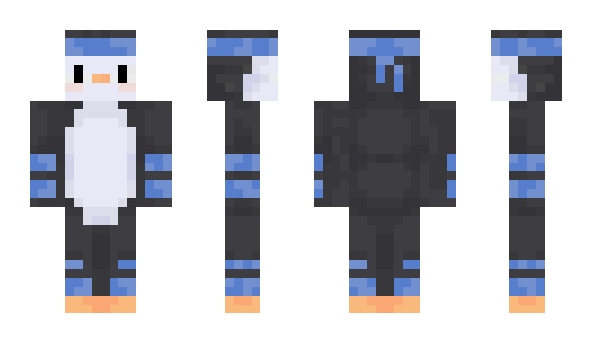 Pomki4 Minecraft Skin