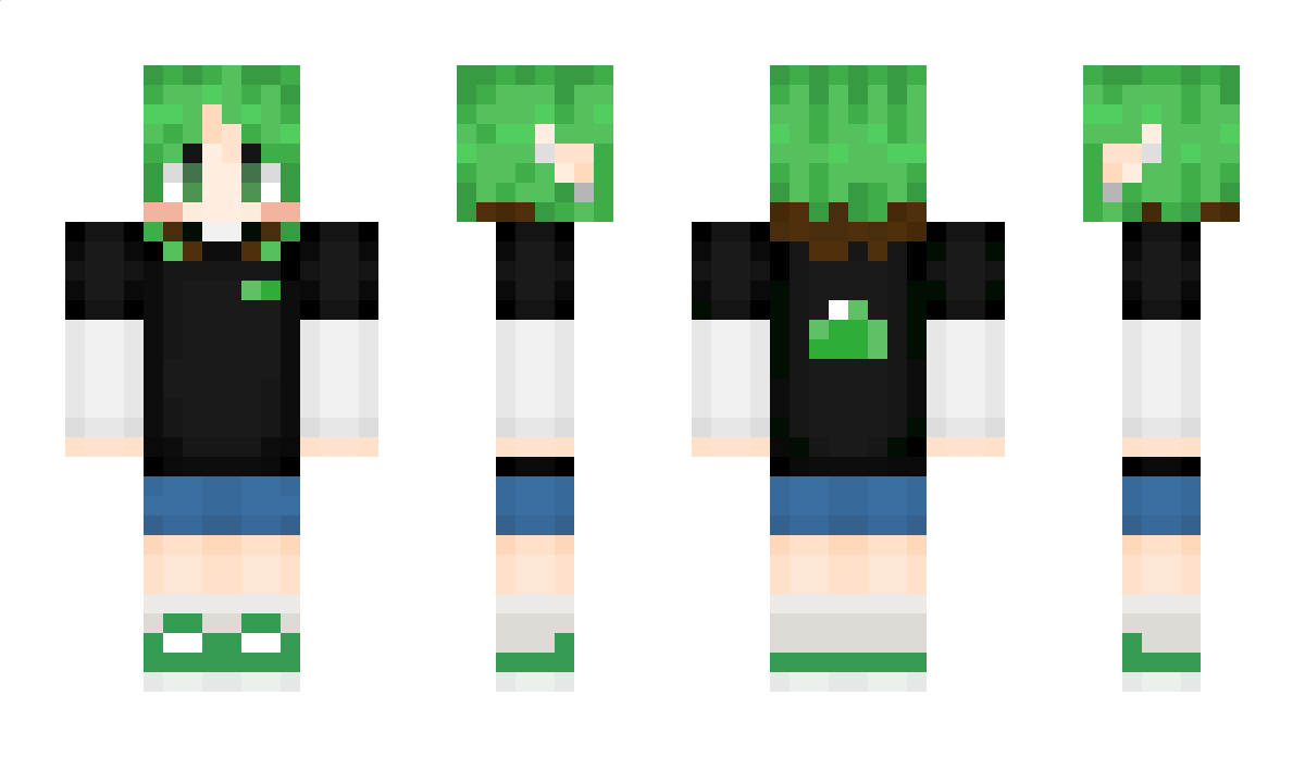 PandaPig22 Minecraft Skin