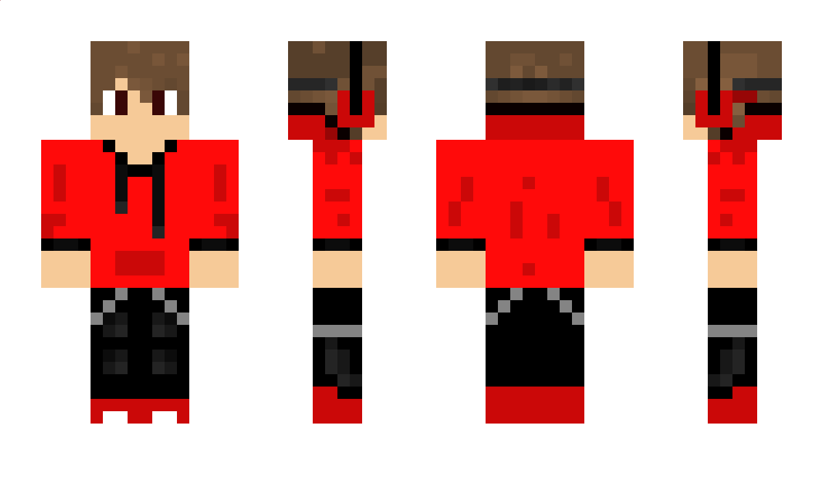 TheFlamingLion Minecraft Skin