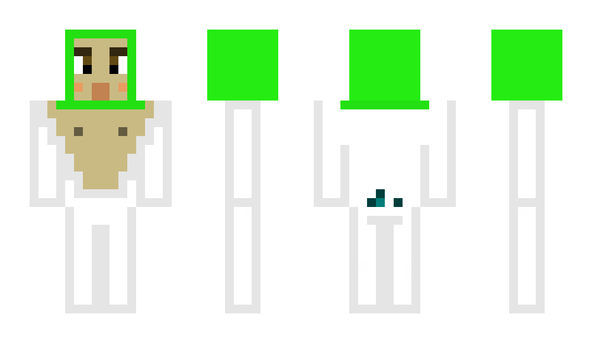 mapachee Minecraft Skin