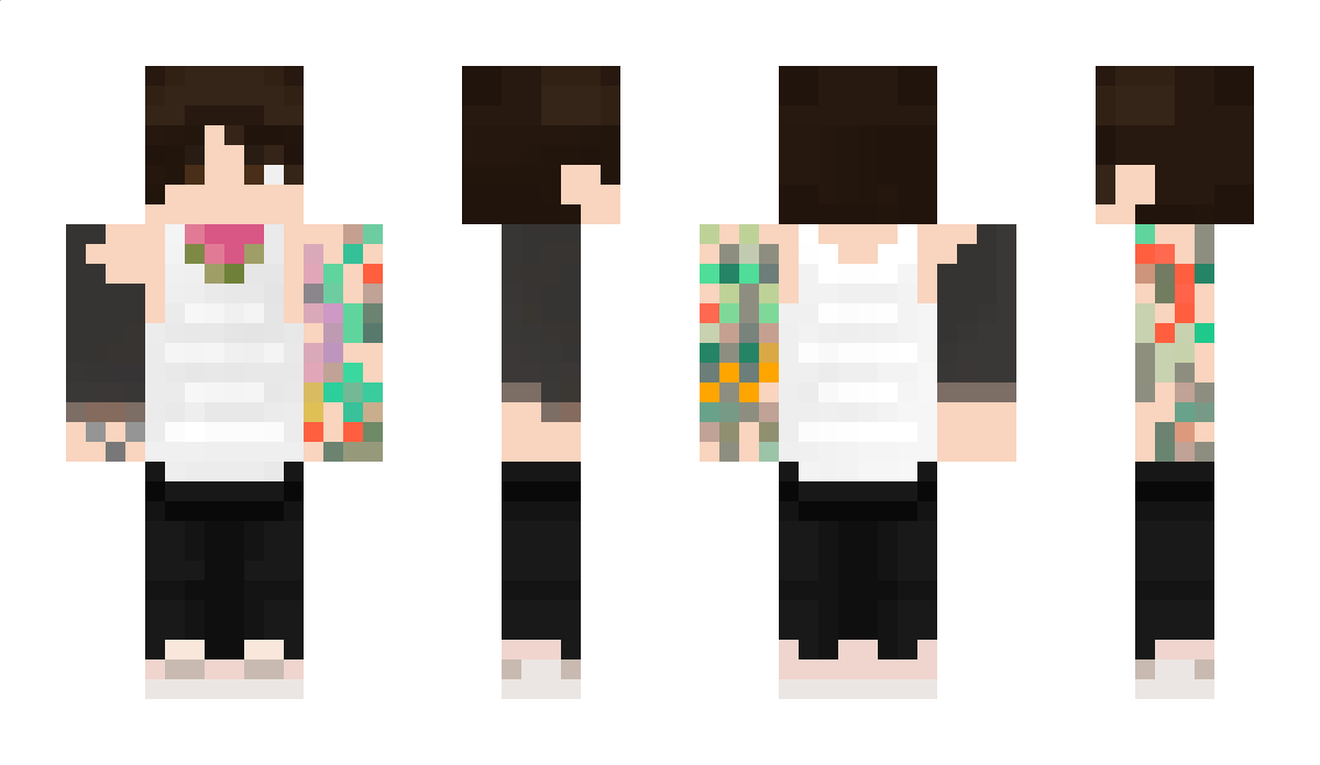 MetaTeMata_ Minecraft Skin