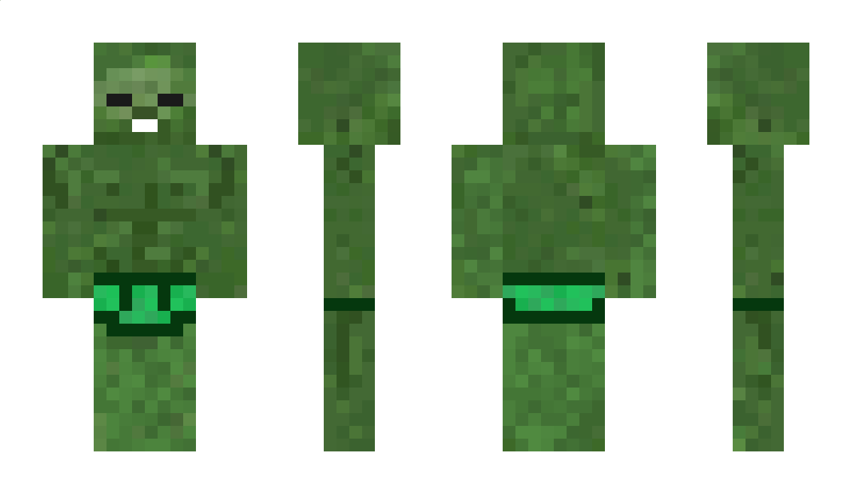 shuttheblankup Minecraft Skin