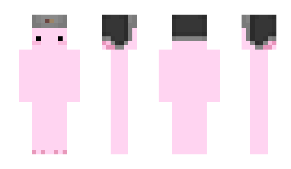 SaikoAxolotl Minecraft Skin