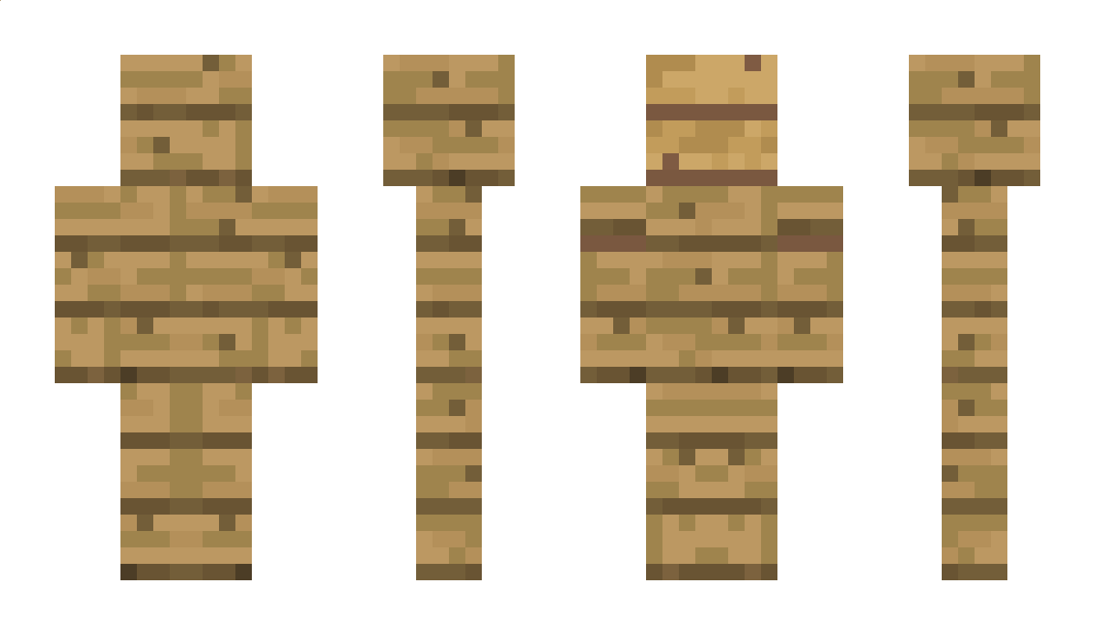 carl10 Minecraft Skin