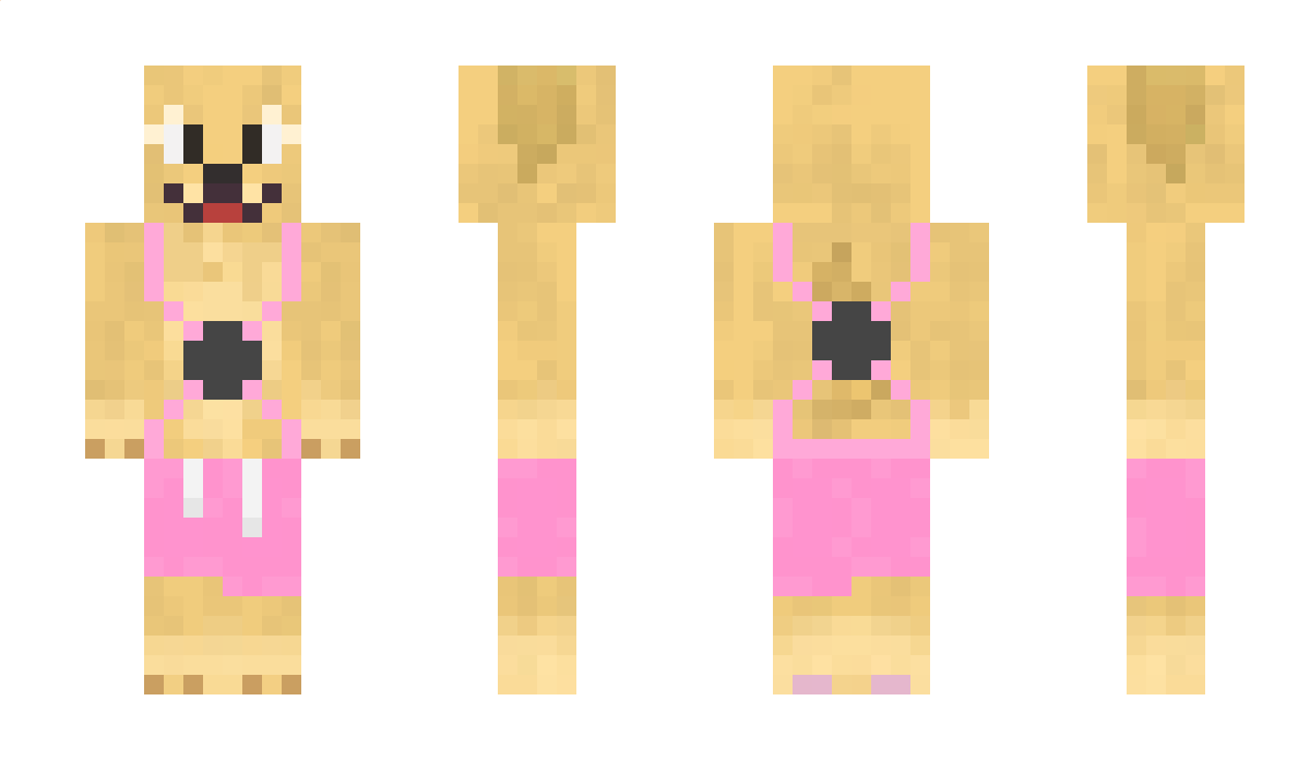 banditwuskyfan Minecraft Skin