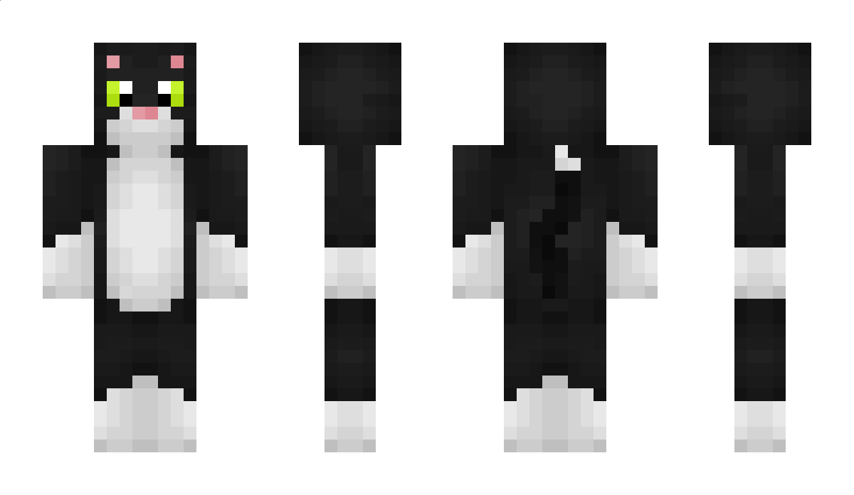 ThatCat Minecraft Skin