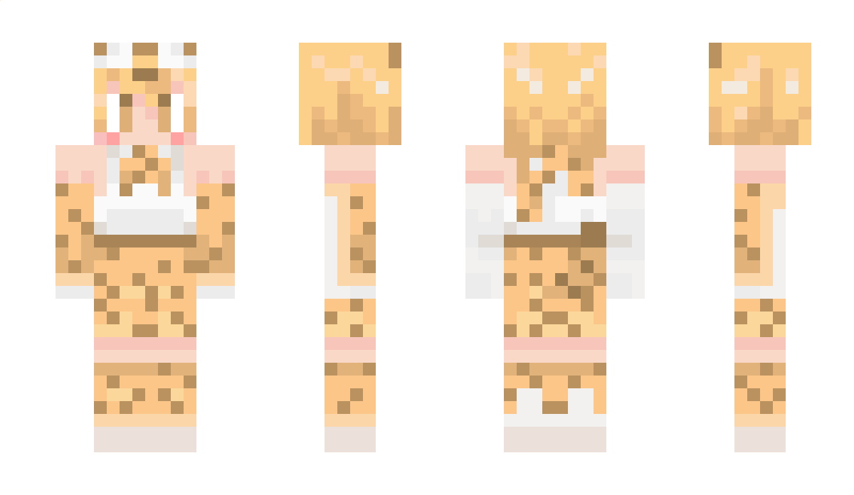 wtt Minecraft Skin