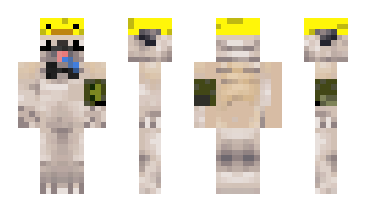 Datsdafalloutpug Minecraft Skin