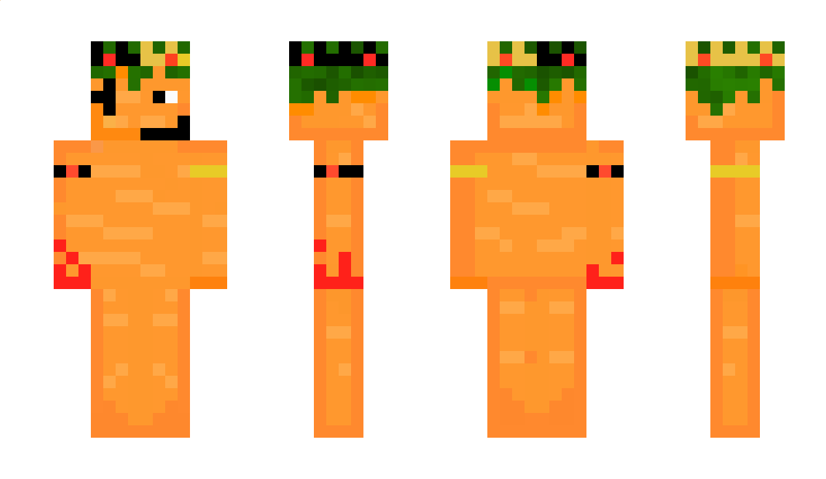 Leojava56 Minecraft Skin