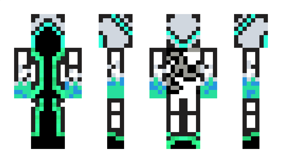 Birr Minecraft Skin