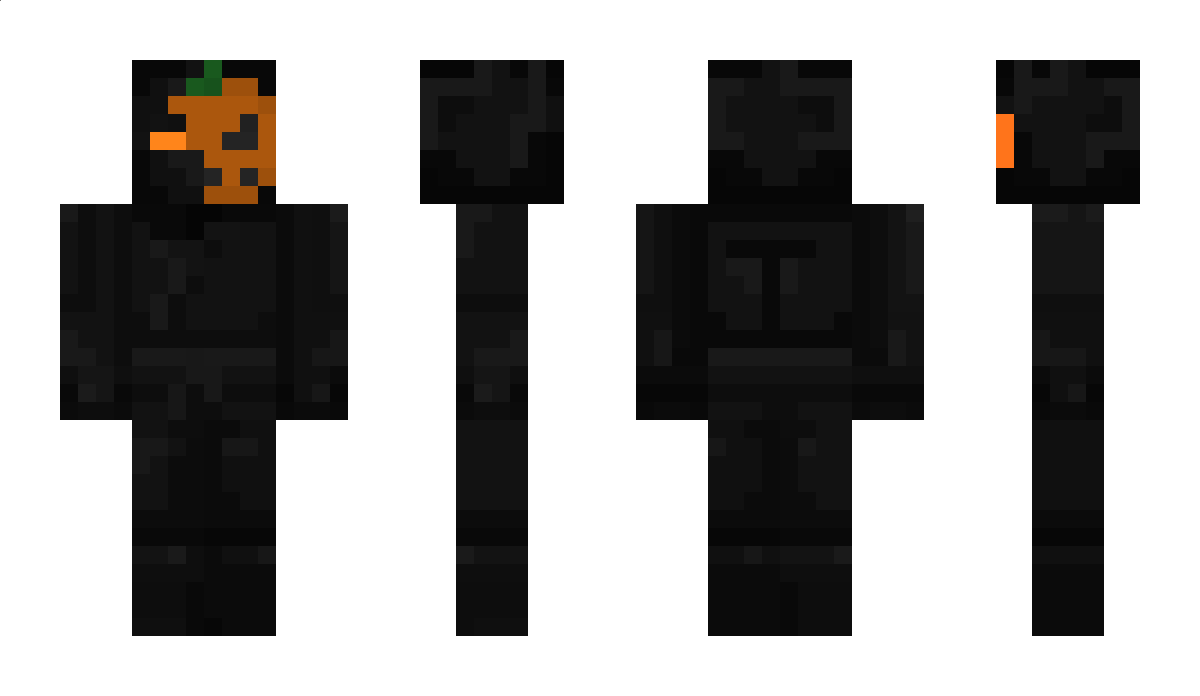 AFR1 Minecraft Skin