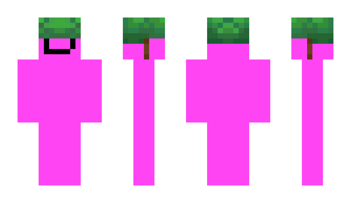 r7Lr7L Minecraft Skin