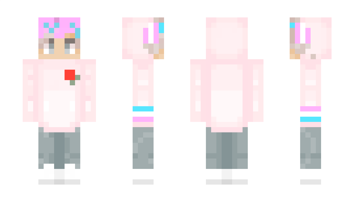 willowedender Minecraft Skin