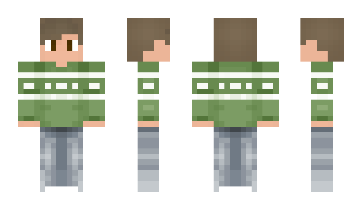 HydroBeetle4039 Minecraft Skin