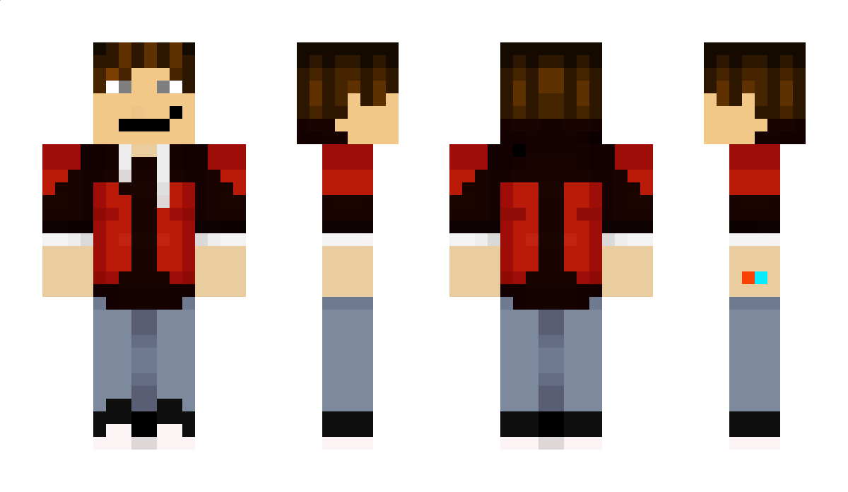 PaulisCool Minecraft Skin