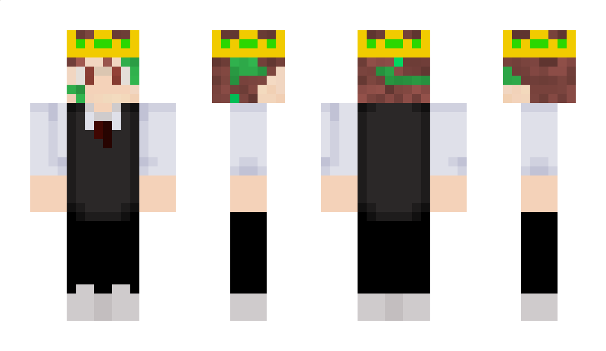 slimy55 Minecraft Skin