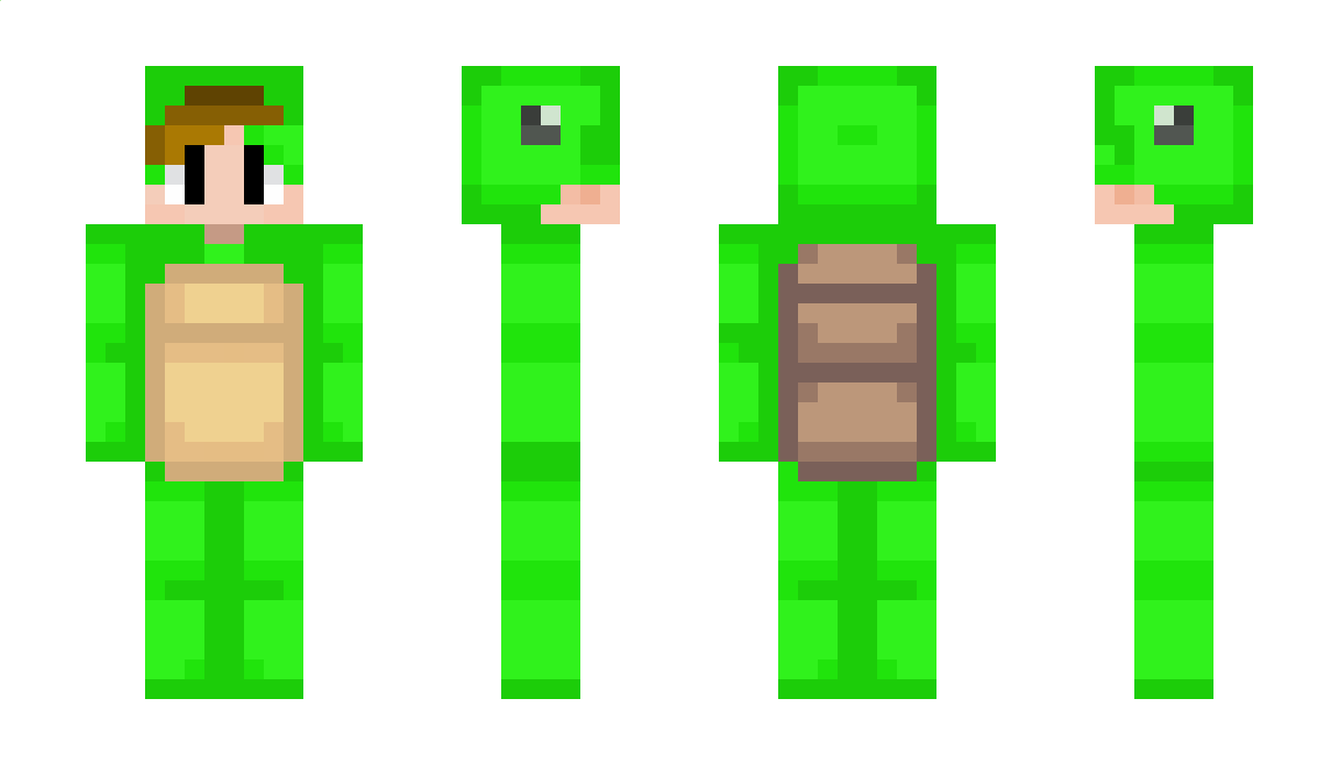 Amurtle Minecraft Skin