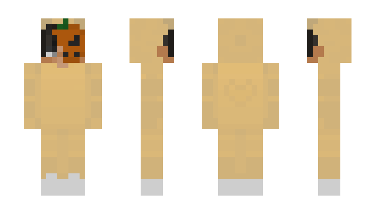 Liarrz_ Minecraft Skin