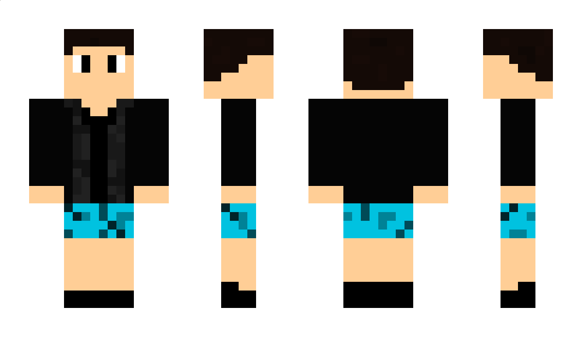 PVMC Minecraft Skin