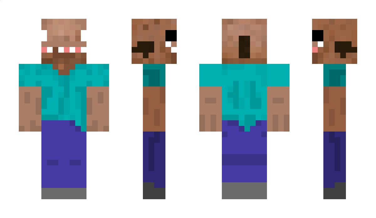 dDiti Minecraft Skin