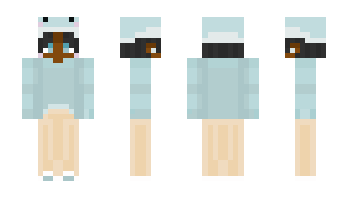 jereios Minecraft Skin